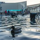 Fasnachtsbrunnen beim Theater