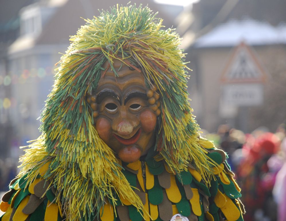 Fasnachtsumzug Rheinfelden 2013