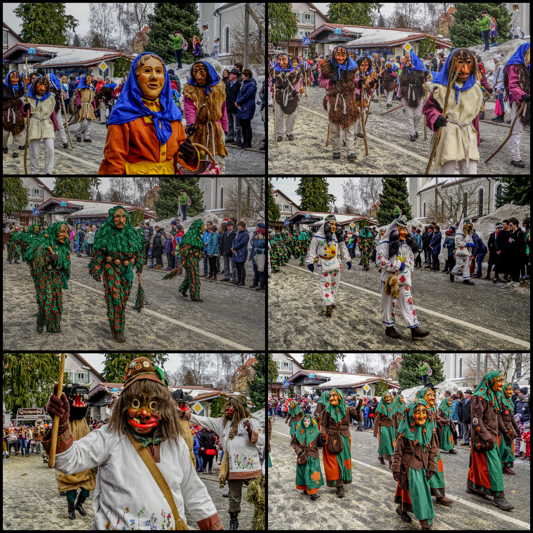 Fasnachtsumzug Scheidegg / Ldkrs. Lindau (02)