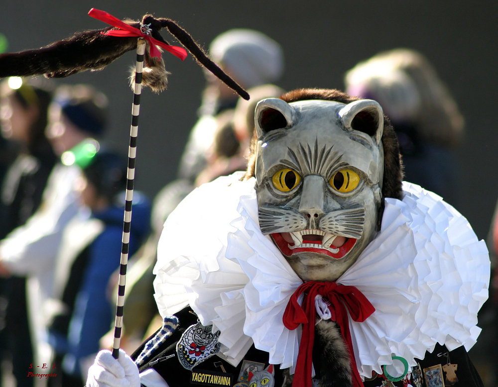 "Fasnet in Ehingen 5"