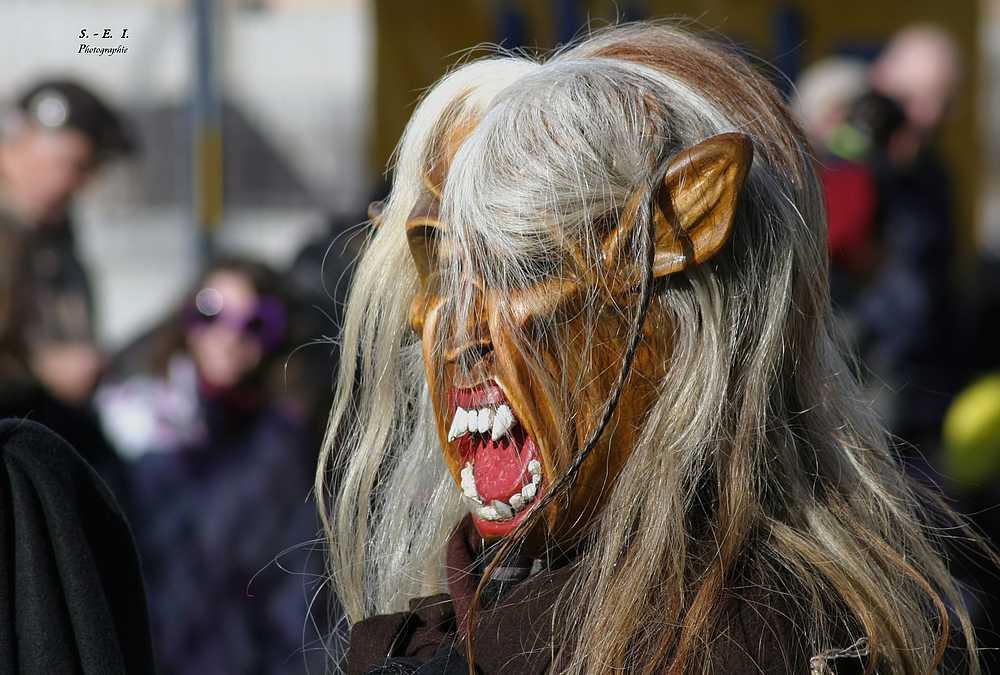 "Fasnet in Ehingen 8"