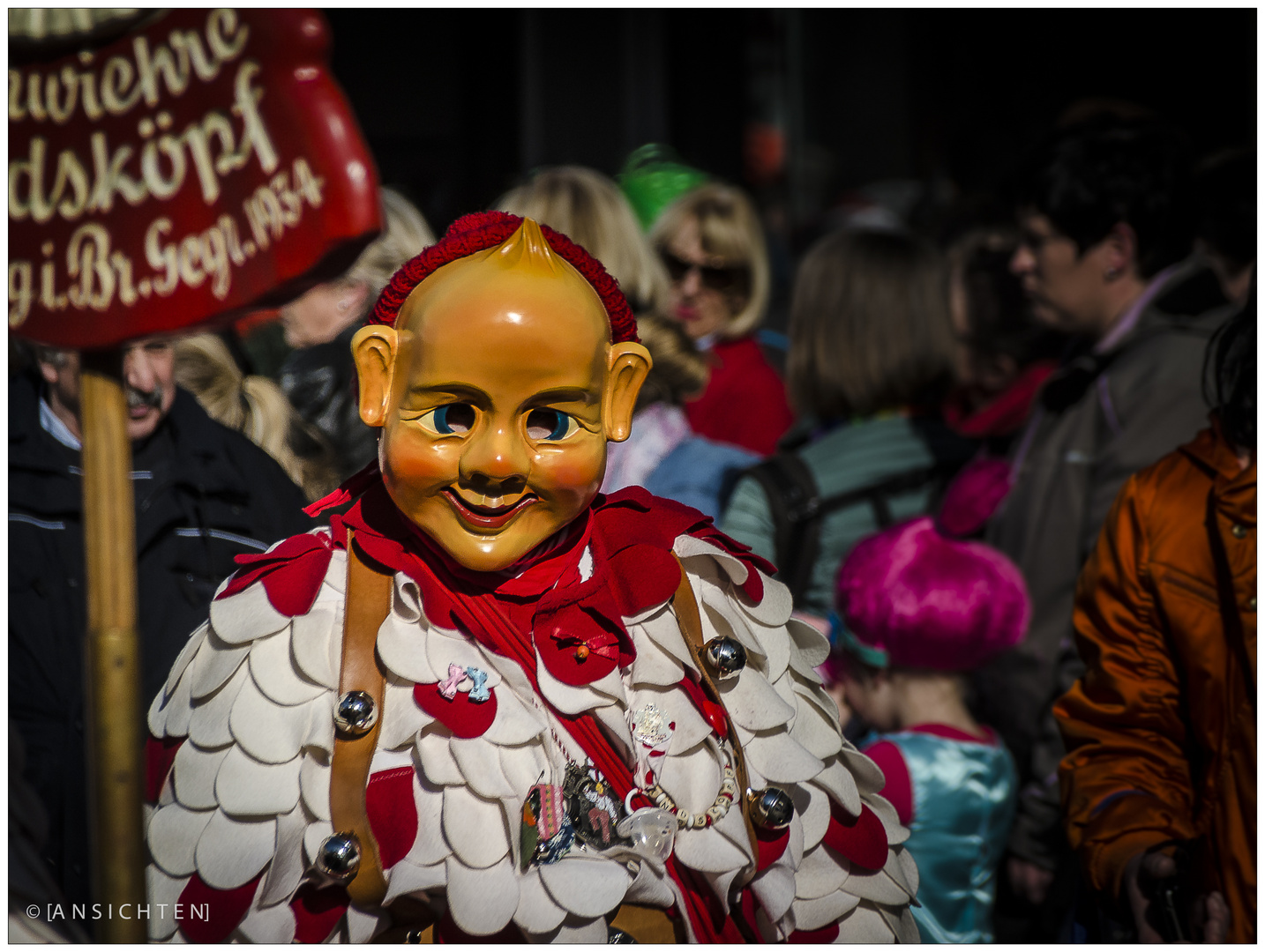 [fasnet - rosenmontag 01]