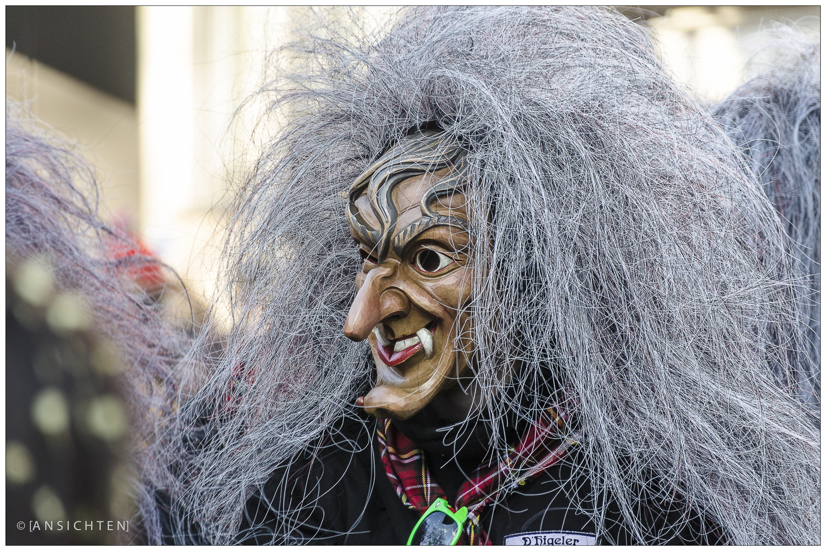 [fasnet - rosenmontag 03]