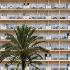 Fassade, Hotel mit Palme, Cala Millor, Mallorca