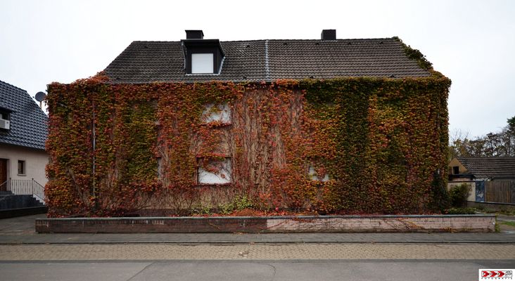 Fassade im Wandel (Herbst)