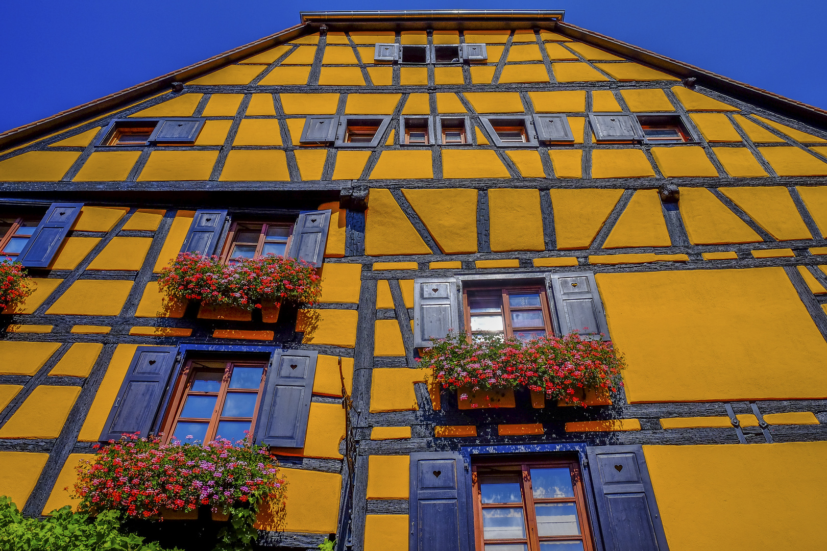 Fassade in Riquewihr