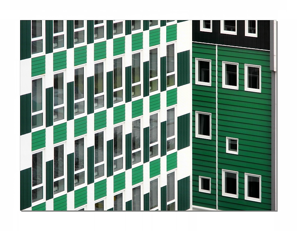 Fassade in Zaandam