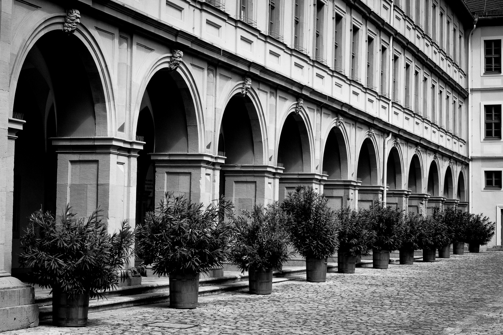 „Fassade Juliusspital Würzburg “