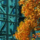 Fassade mit Herbstgold