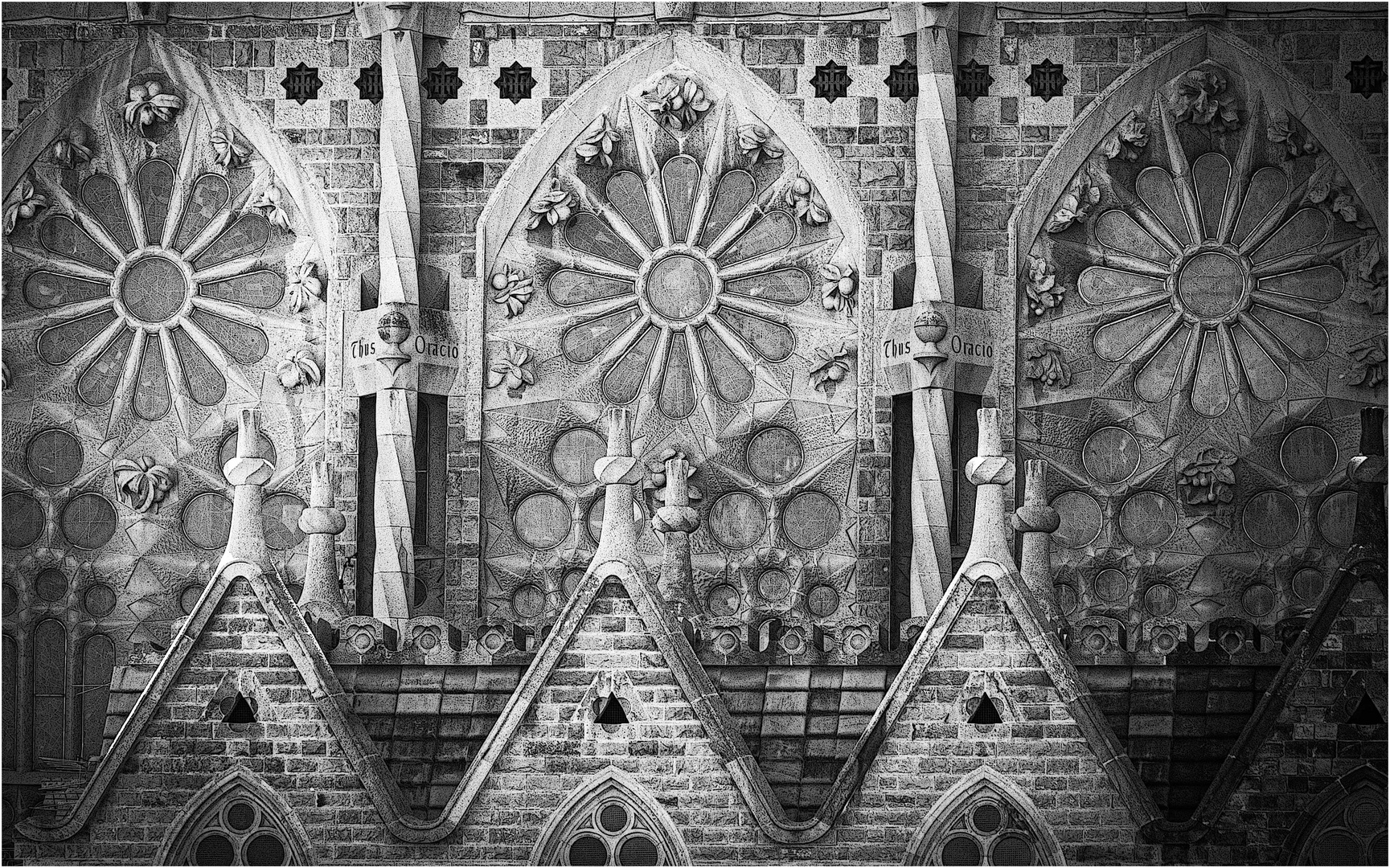 Fassadendetails -Sagrada Familia (black friday 5.01.2024)