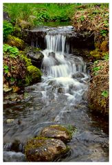 Fasserfall im Botanischen Garten Bochum