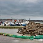 Fast alle Boote im Hafen