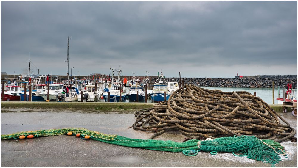 Fast alle Boote im Hafen