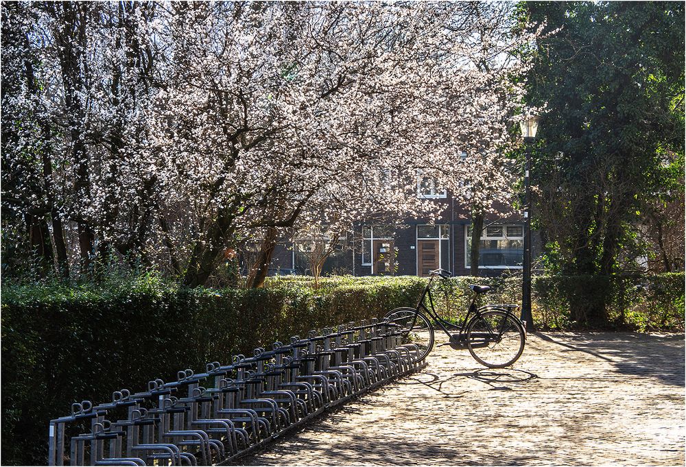 (Fast) alle unterwegs