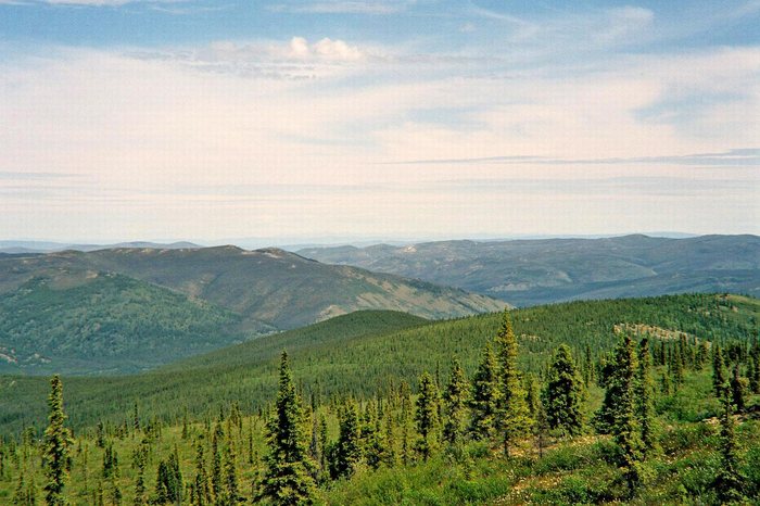 fast am Ende der Nansenroad(Yukon)