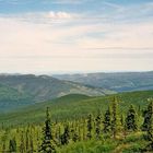 fast am Ende der Nansenroad(Yukon)