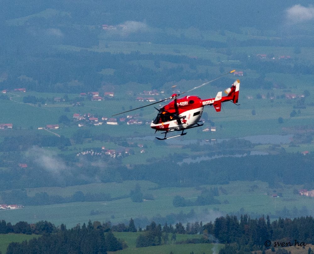 Fast auf Augenhöhe