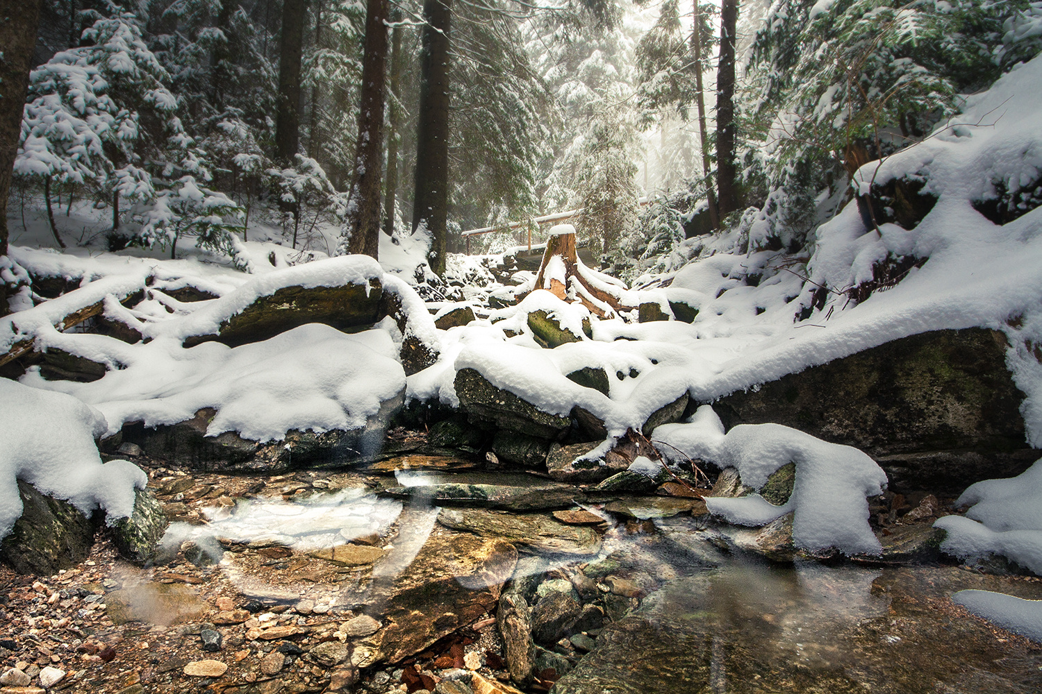 Fast ausgetrockneter Bach in Winterlandschaft