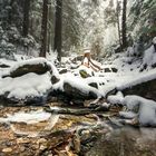 Fast ausgetrockneter Bach in Winterlandschaft