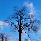 Fast blauer Himmel