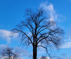 Fast blauer Himmel