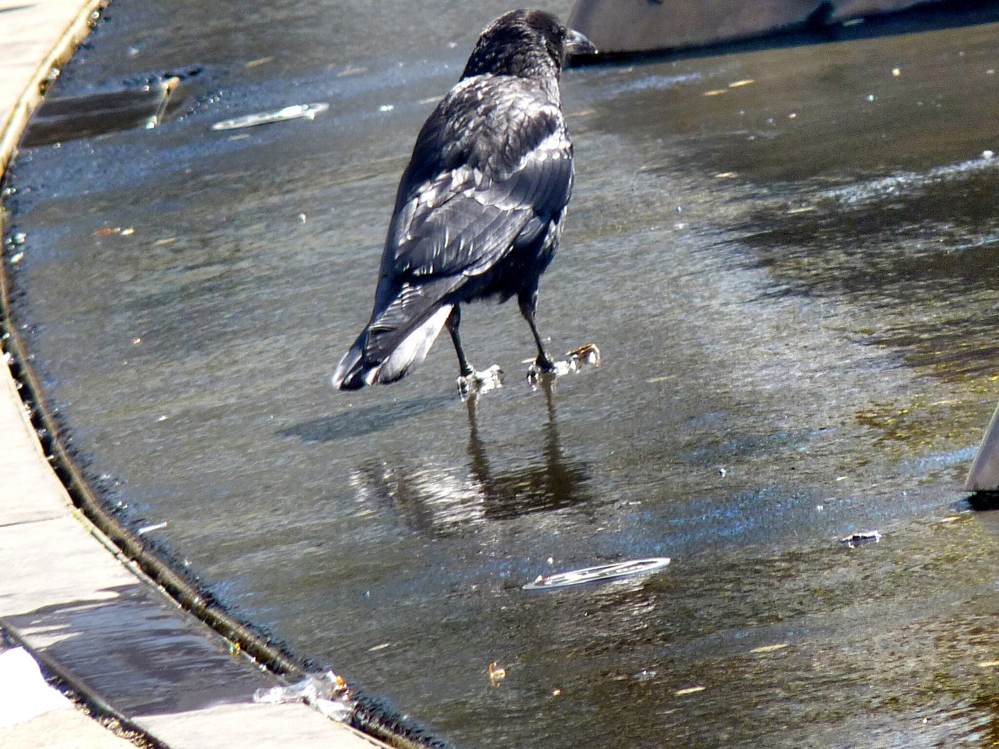 Fast das letzte Mal im Wasser stehen :-)