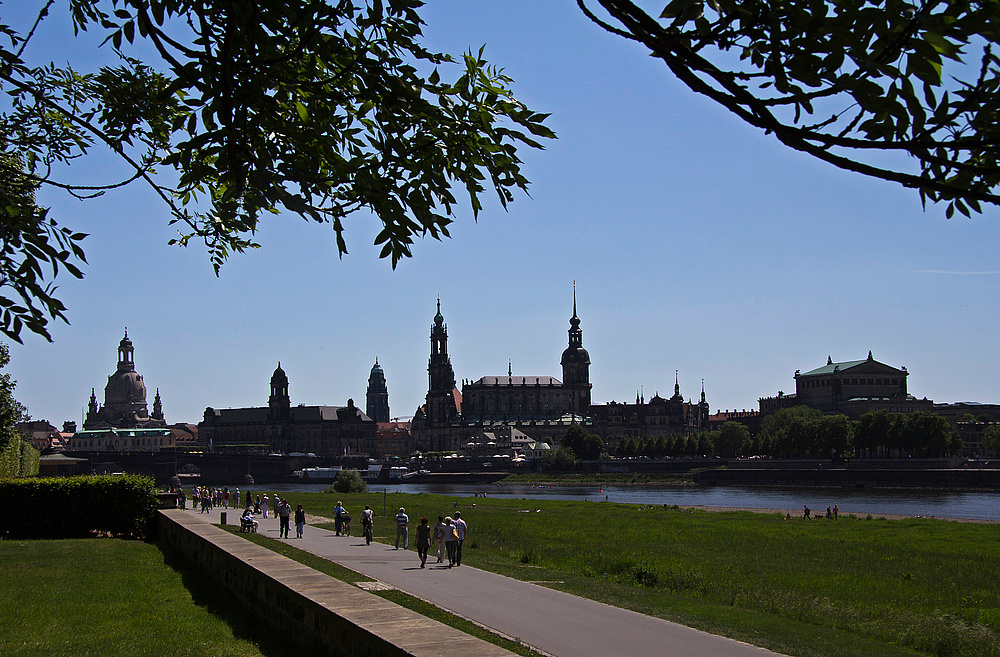 Fast ein Dresdener Scherenschnitt