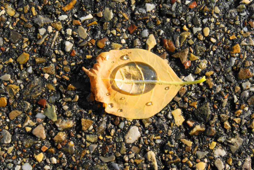 FAST... ein Tropfen auf dem heissen Stein...