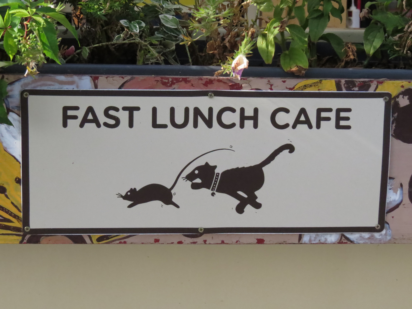 fast food