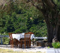 Fast Food Restaurant - greek style