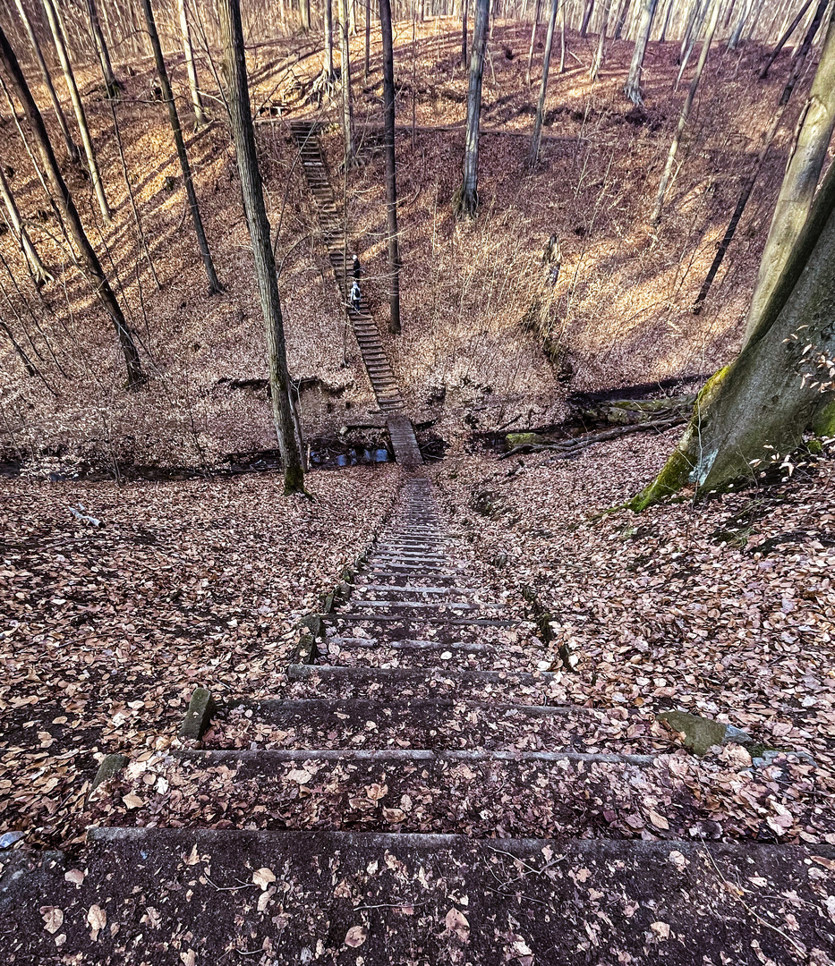 Fast Frühling in Sachsen