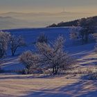 Fast genau vor einem Jahr gab es diese Winterlandschaft...