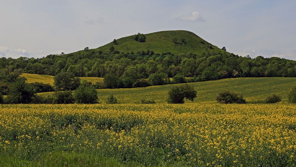 Fast hätte ich den "Hochfrühling" im Böhmischen Mittelgebirge verpasst...