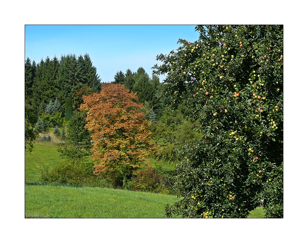 fast Herbst