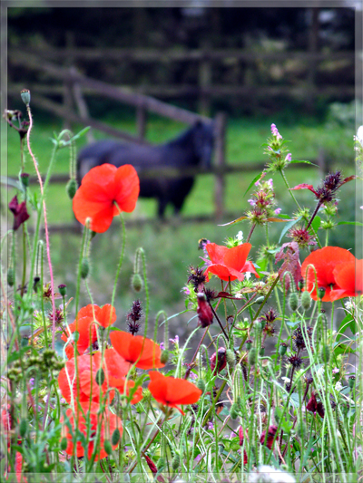 *fast Herbst*