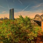 (fast ) Herbst in Frankfurt