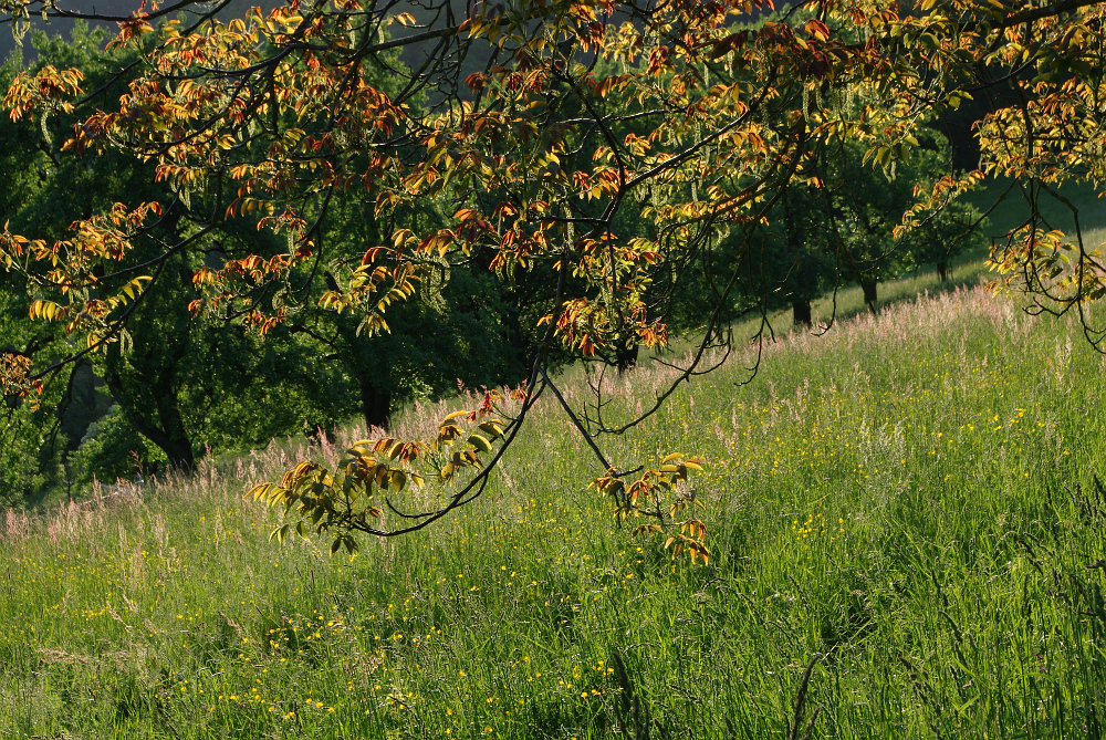 Fast herbstlich