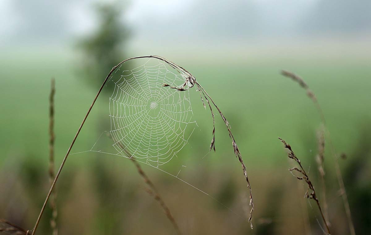 Fast herbstlich...