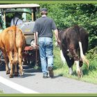 Fast im Gleichschritt