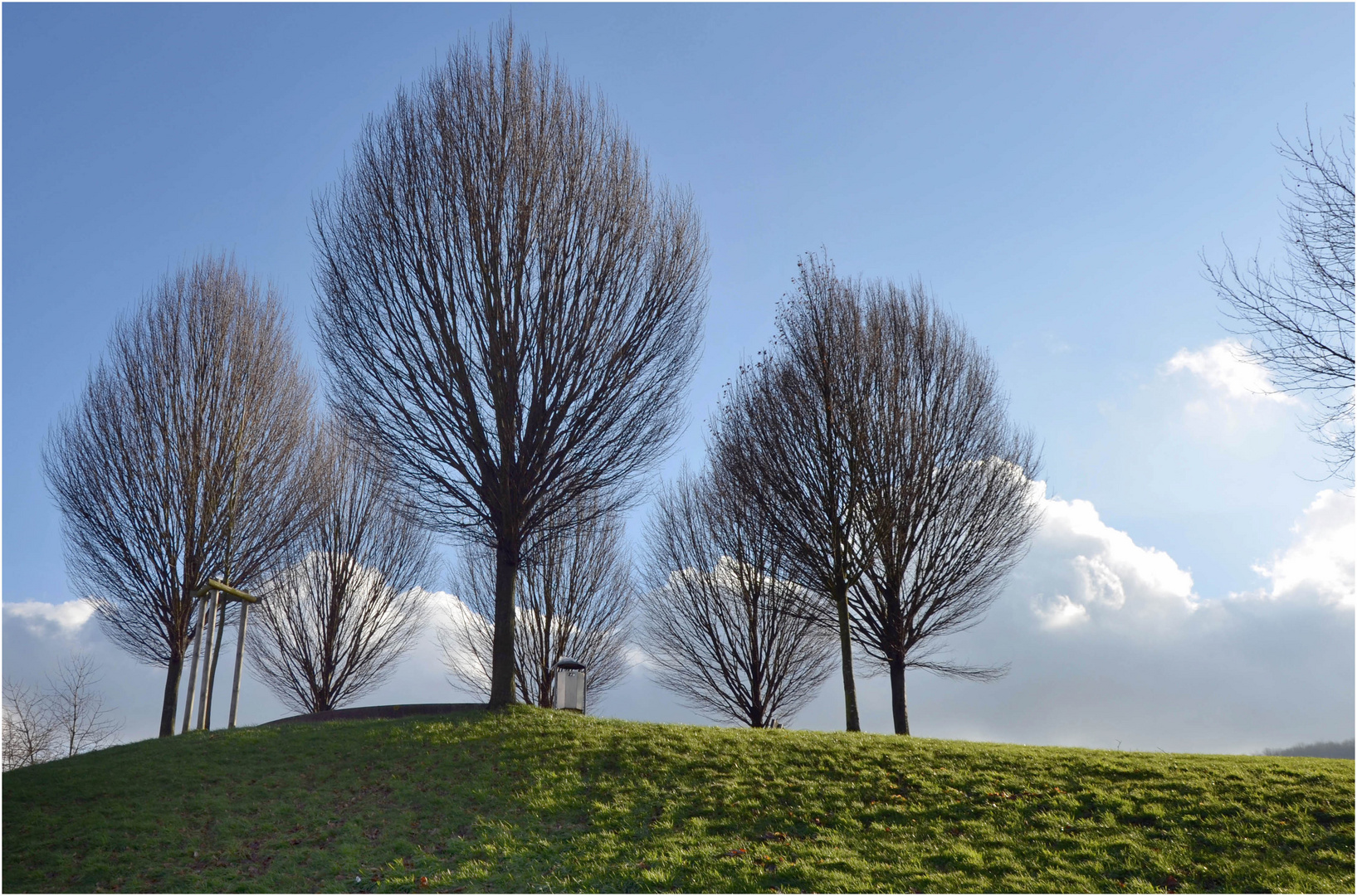 Fast liegt Frühling in der Luft