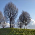 Fast liegt Frühling in der Luft