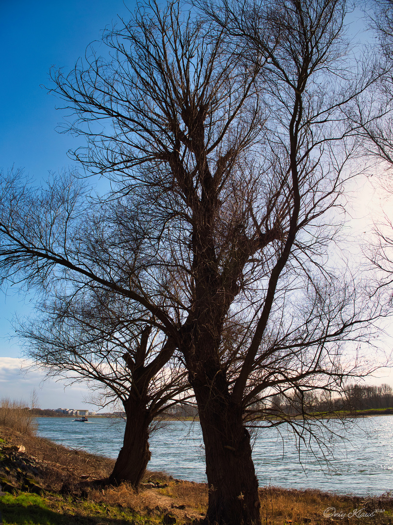 Fast nur noch blauer Himmel