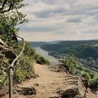 Fast oben angekommen, rechts im Bild liegt Oberwesel.