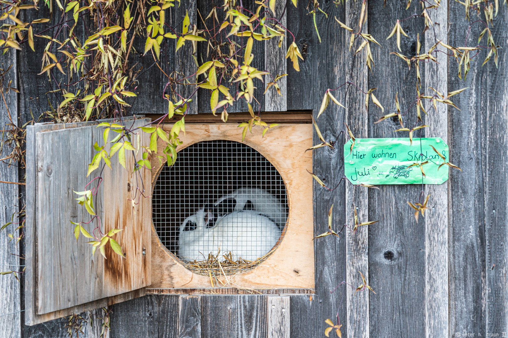 (fast) Offenes Haus