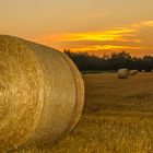 fast schon eine Herbststimmung