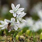 Fast schon Frühling