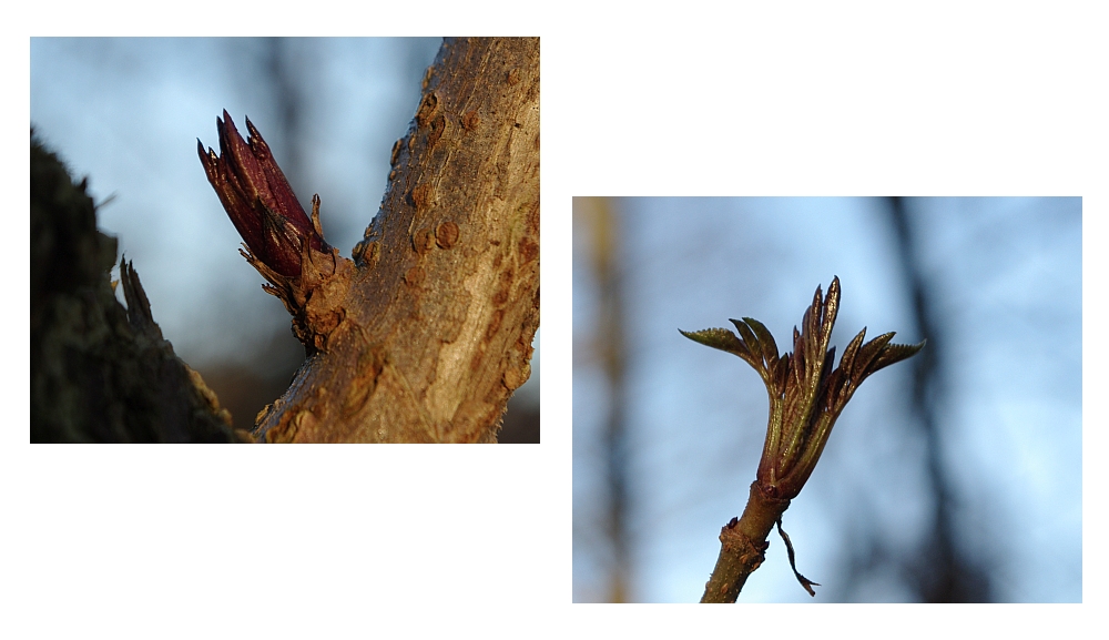 Fast schon Frühling