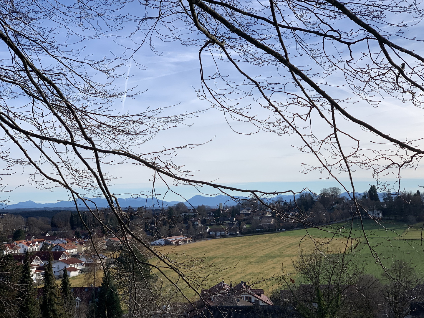 Fast schon Frühling