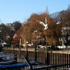 Fast schon Frühling in Hamburgs Museums-Hafen