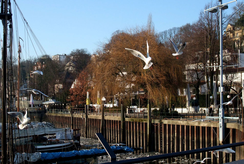 Fast schon Frühling in Hamburgs Museums-Hafen